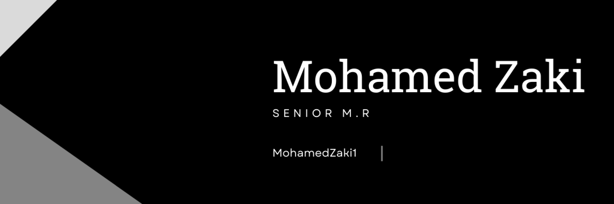 Mohamed Zaki Mohy-eldeen