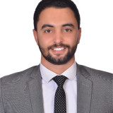 Mohamed Tarek Elfarahaty