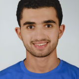 Abdallah Mohamed Ali Elsayed