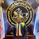 Abanoub Nessim Labib